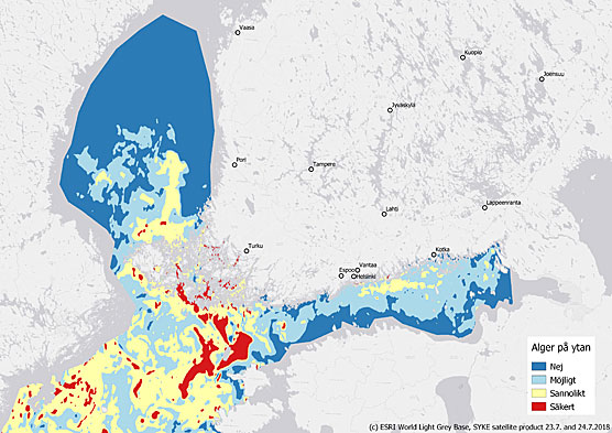 Pintalevakukinnat viikko 30 sw